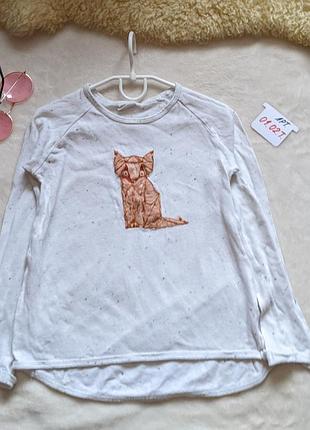 Реглан з котиком zara 7-8 років