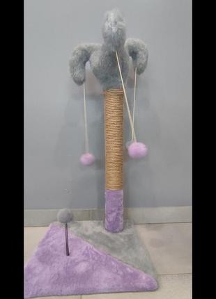 Кігтіточка