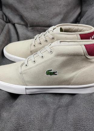 Оригінал lacoste ampthill чоловічі високі кеди кросівки3 фото