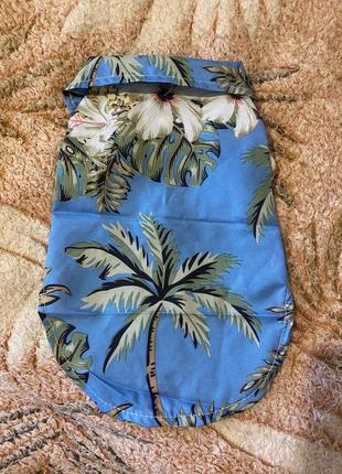 Одежда для собак маленьких пород