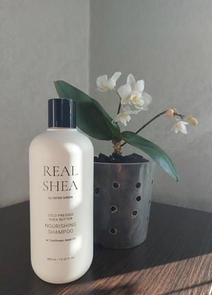 maria nila eco revive