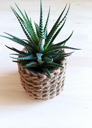 Стаканчик для ручек из джута цветочное кашпо для суккулентов джутовая корзинка для...