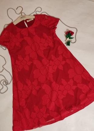 Шикарне червоне плаття сукня італія
