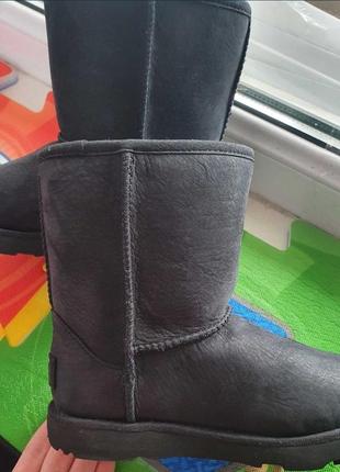 Нові уггі бренд ugg pure зима (вовна, замша) розмір 30 устілка 19,56 фото