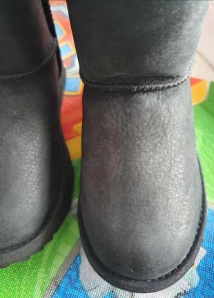 Нові уггі бренд ugg pure зима (вовна, замша) розмір 30 устілка 19,57 фото
