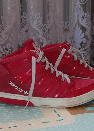 Кроссовки adidas1 фото