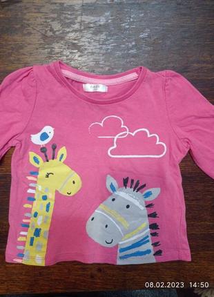 Реглан 74 размера 1302