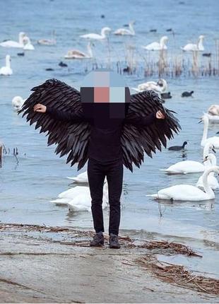 Крила янгола для фотосесії