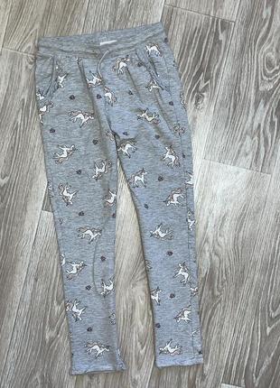 Штани спортивні на байці