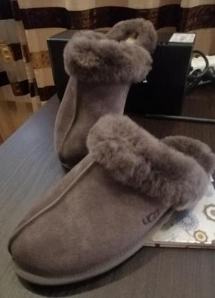 Тапочки жіночі scuffete ll house slipper ugg колір мокко4 фото