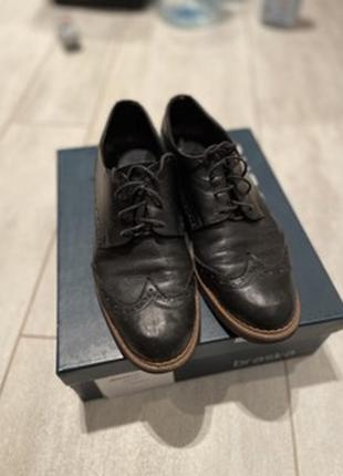 Жіночі оксворди