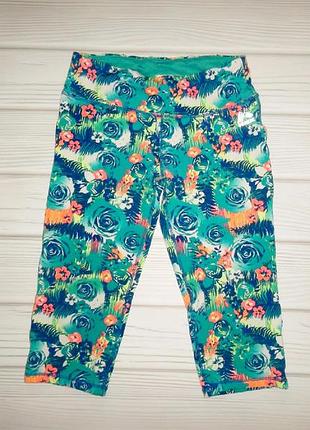 Бриджи лосини