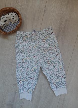 Штаники штани трикотажні для немовляти 6-9 років tu1 фото