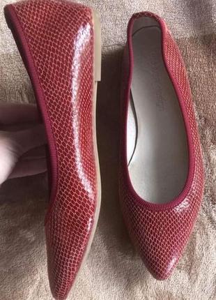 Балетки gulliver