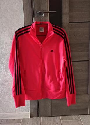 Мастерка малиновая adidas р.м