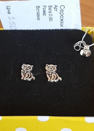 Сережки-гвоздики котики срiбні