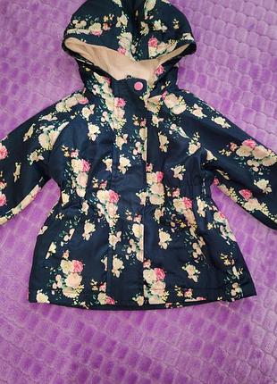 Яркая ветровка, плащ