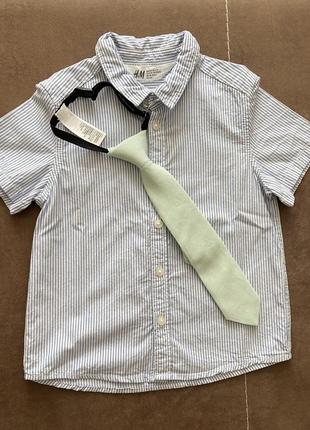 Сорочка для хлопчика від h&m з краваткою3 фото