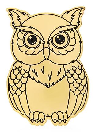 Брошка з нержавіючої сталі птахи сова brbf113161