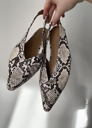 Балетки з відкритою п'ятою в зміїний принт із гострим носком