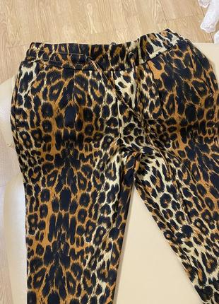 Леопардовые брюки3 фото
