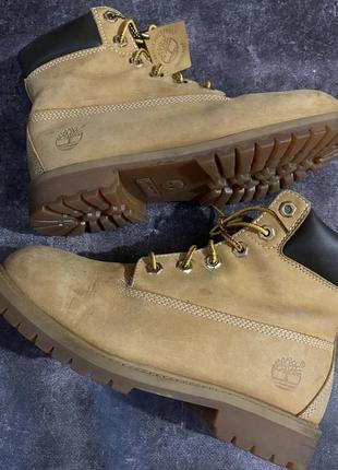 Черевики timberland1 фото