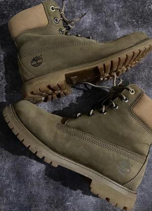 Черевики timberland