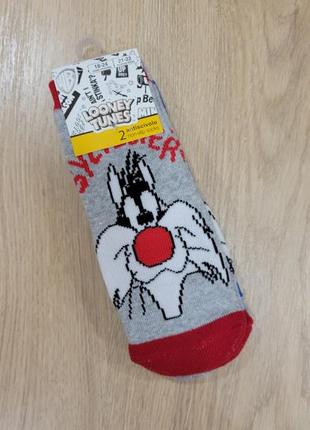 Шкарпетки шкарпетки 18-24 міс 21-22 р