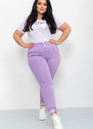 Спортивні штани батал