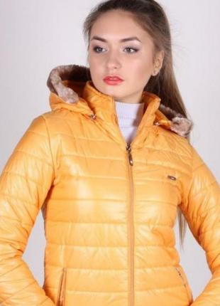 Куртка нова