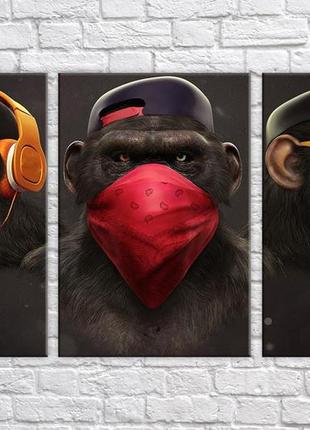 Модульна картина на полотні з 3-х частин "стильні мавпи"