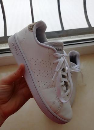 Оригінальні кросівки adidas