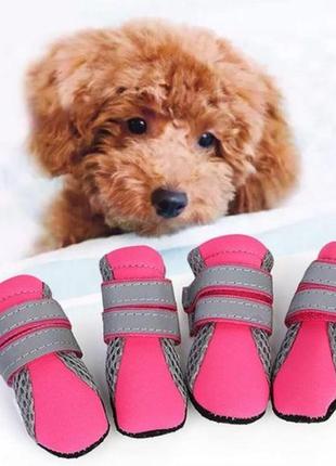Взуття для тварин/ капці для собак