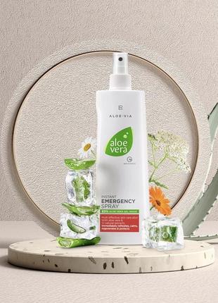 Алоэ вера спрей lr, ничевичка