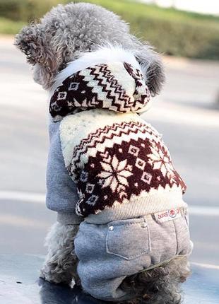 Теплая, зимняя одежда для животных