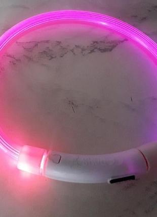 Нашийник, що світиться