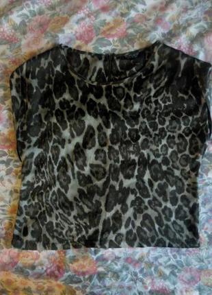 Блузка футболка принт леопард topshop 36 topshop3 фото