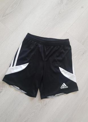 Шорти adidas climalite