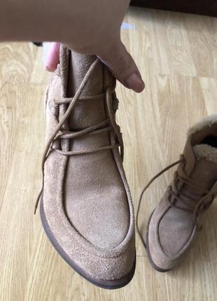 Сапоги ugg оригинал