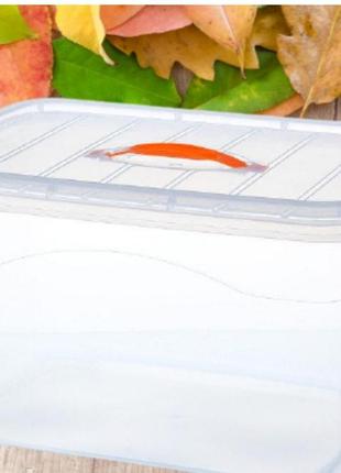 Контейнер для зберігання з кришкою, короб, ящик пластиковий