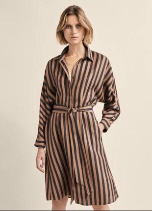Сукня massimo dutti