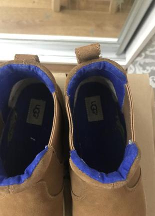 Черевики ugg 5