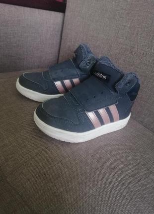 Хайтопы-кроссовки adidas, 24 р