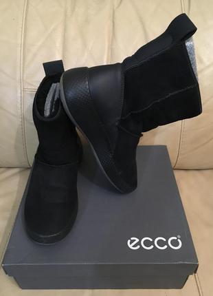 Замшевые зимние сапоги ботинки ecco