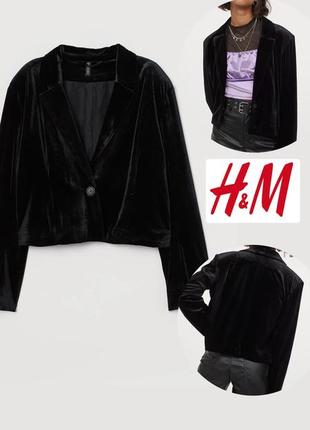 Піджак жакет жіночий велюровий h&m1 фото