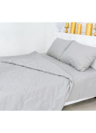 Одеяло mirson летний комплект 2655 3m thinsulate 16-5703 light gray одеяло (2200003112535)2 фото