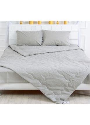 Одеяло mirson летний комплект 2655 3m thinsulate 16-5703 light gray одеяло (2200003112535)3 фото
