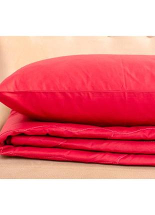 Одеяло mirson летний комплект 2652 3m thinsulate 19-1655 edmonda одеяло 2х (2200003112313)1 фото