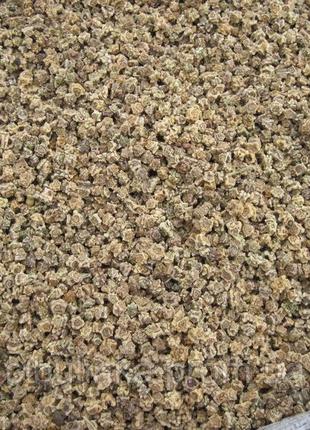 Насіння жовтого кормового буряка семена свеклы жовтий кормовий буряк