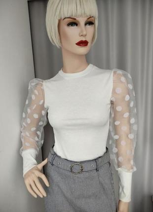 Кофта жіноча блуза жіноча